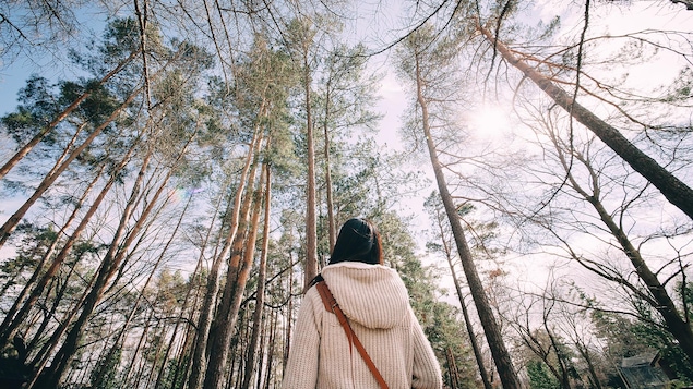 De dos, une femme regarde le ciel dans une forêt.