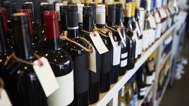 Des bouteilles de vin alignées sur une étagère