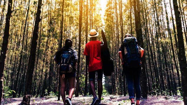 Trois adolescents marchent dans un sentier avec leurs sacs à dos.