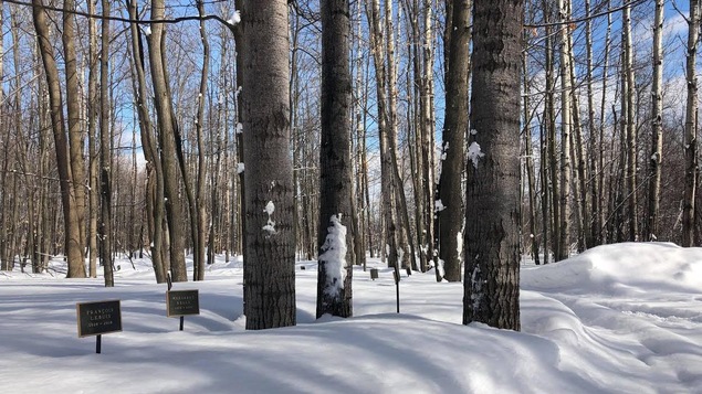 Un cimetière écologique à Sherbrooke