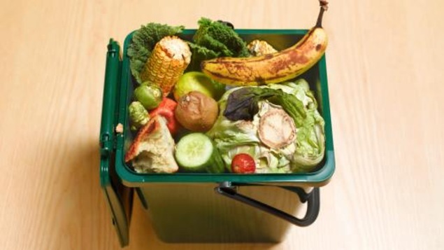 Un petit contenant de compost ouvert contient des restes de légumes et de fruits, dont de la laitue, du maïs et une banane.