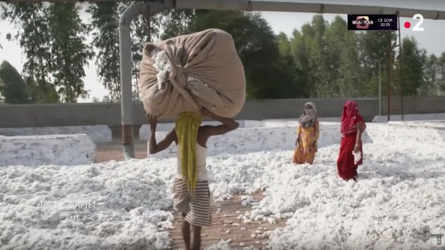Des travailleurs indiens entourés de coton, dont un qui tient un ballot de coton sur sa tête