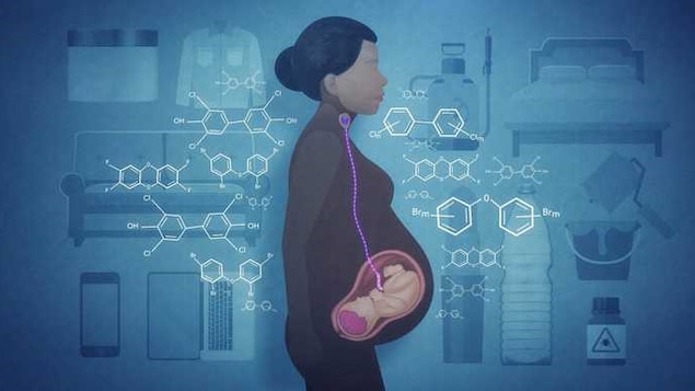 Illustration représentant une femme enceinte, dont l'embryon est visible en semi-transparence dans son ventre. Les éléments de son environnement (bouteilles de plastique, pots de peinture, etc) sont accompagnés de symboles chimiques en surimpression.
