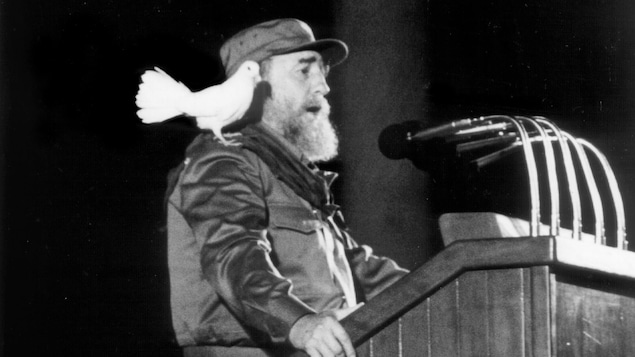 Une colombe blanche se pose sur l'épaule du président cubain Fidel Castro alors qu'il prononce un discours devant la jeunesse cubaine lors d'une cérémonie commémorant le 30e anniversaire de la révolution cubaine à La Havane, le 8 janvier 1989.