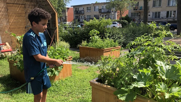 Un jeune garçon arrose un bac à plantes.