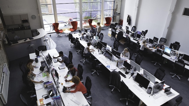 Des employés travaillent dans une aire ouverte.