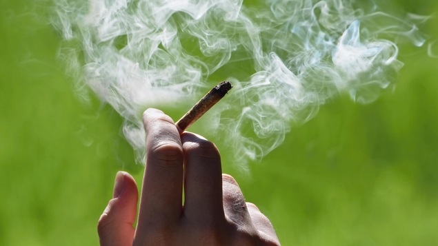Une personne tient un joint.