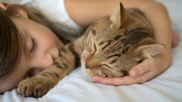 Une fillette fait une sieste en compagnie de son chat.