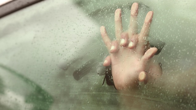 Deux personnes font l'amour dans une voiture.