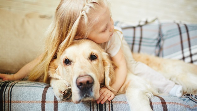Les chiens, moins propres que les chats, portent plus de microorganismes en eux.
