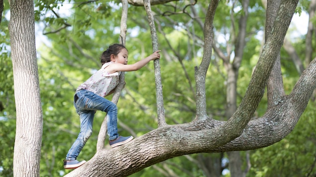 Une fillette grimpe dans un arbre.