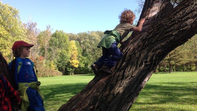 Deux enfants s'amusent à grimper dans arbre au Domaine de Maizerets.