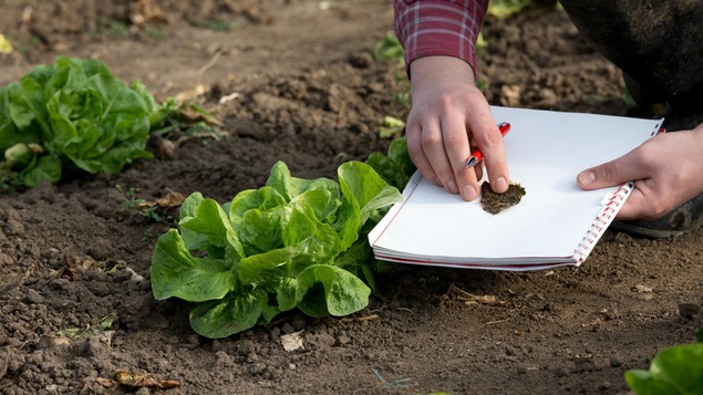 Une personne prend des notes pendant qu'elle jardine.