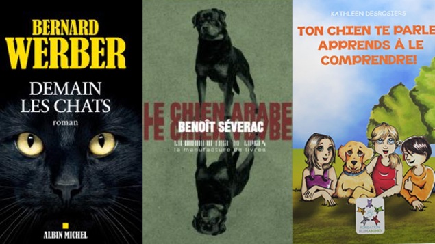 Les suggestions de Jean Gauvin Les suggestions de Jean Gauvin