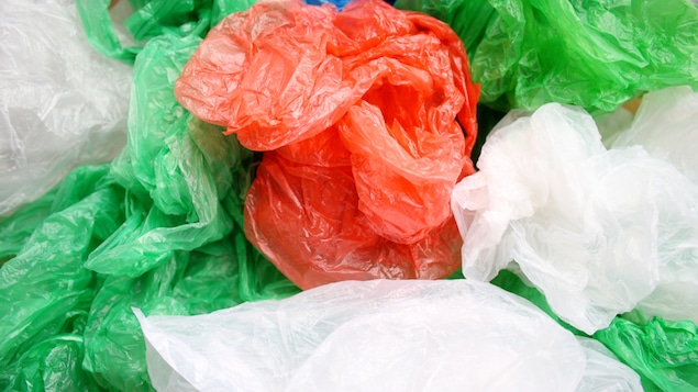 Des sacs de plastique.