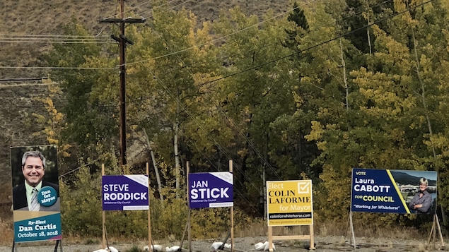 Des panneaux électoraux sont plantés au bord de la route.