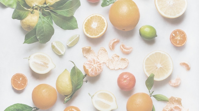 Des agrumes (citrons, oranges, clémentines, limes) sont étalés sur un fond blanc.