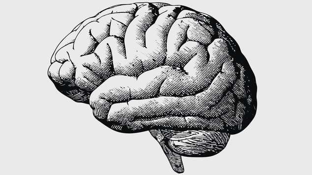 L'illustration d'un cerveau.