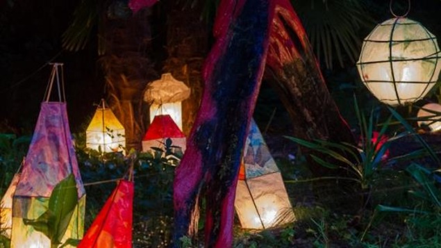 Des lanternes posées dans un jardin qui sont illuminées dans la nuit.