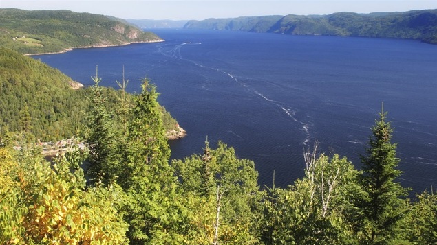Fjord du Saguenay