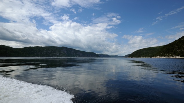 Vue du fjord du Saguenay