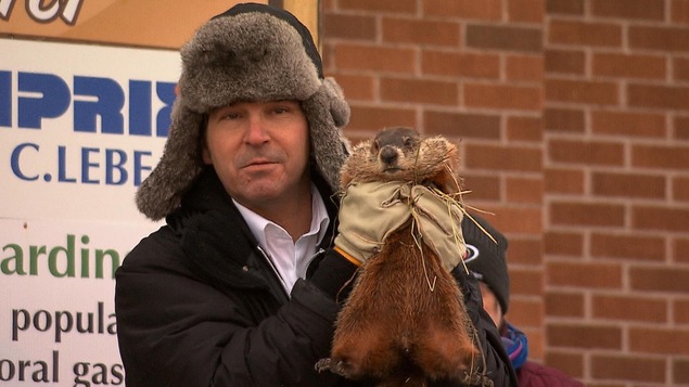 Un homme tient une marmotte dans ses mains