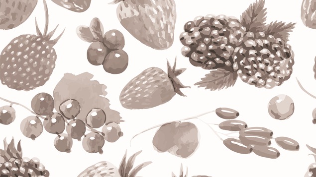 La cueillette des fruits sauvages, un plaisir estival