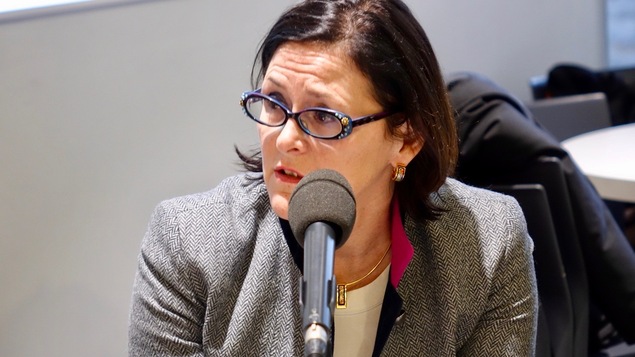 Diane Francoeur, présidente de la Fédération des médecins spécialistes du Québec