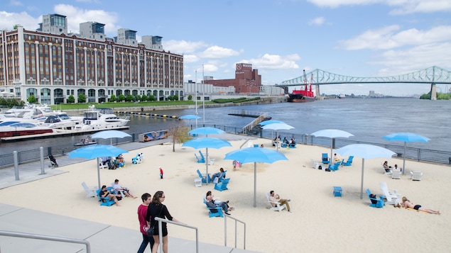 Des Projets De Plages Sur Lîle De Montréal Accusent Du