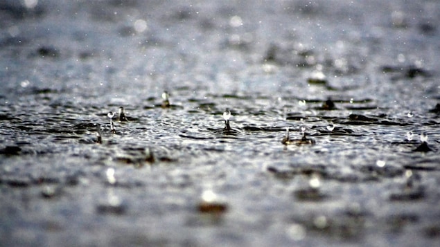 Des gouttes de pluie sur un sol trempé.