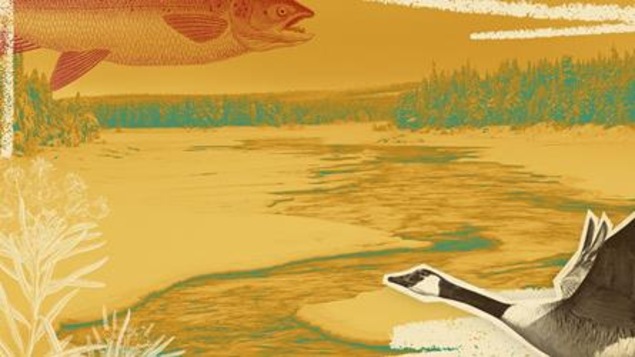 Projet Innu, une langue, un peuple, illustration d'un paysage avec une outarde et poisson