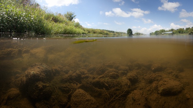 Image d'une rivière prise semi-immergé dans l'eau