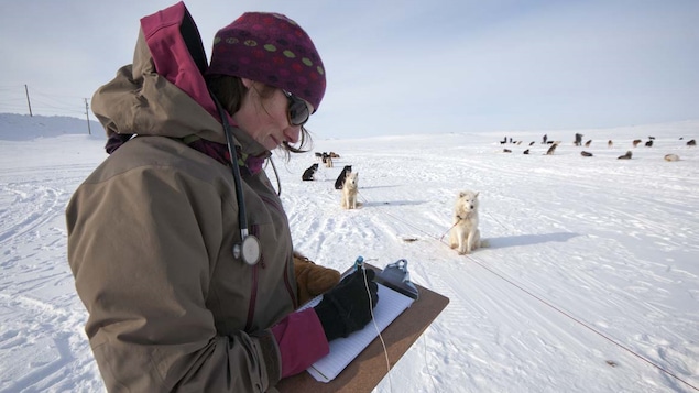 Photo de Julie Ducrocq lors de la course de traîneaux à chiens Ivakkak