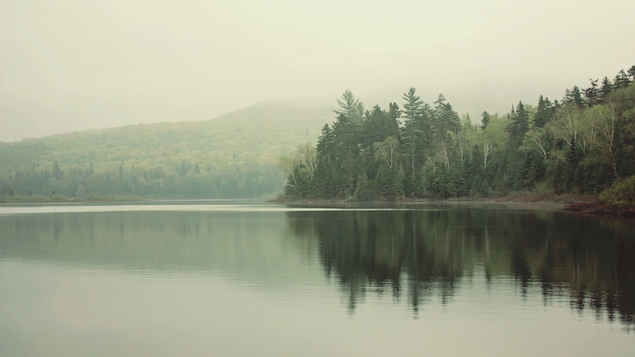 Vue d'un lac et d'un rivage forestier, avec une brume très présente.