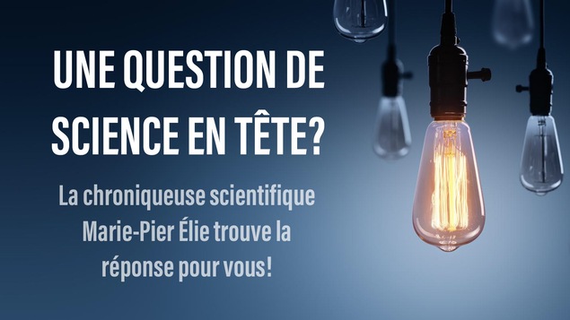 Posez vos questions de science à Marie-Pier Élie!