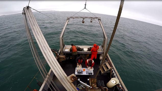Des travailleurs de Merinov s'intéresse à l'approvisionnement en naissains de moules bleues aux large des Îles-de-la-Madeleine.