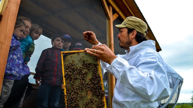 Miellerie de la Grande Ourse à St-Marc-de-Figuery (Abitibi) : on voit un apiculteur avec des abeilles et enfants
