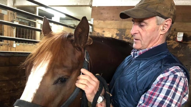 Dans une écurie, un homme et un cheval