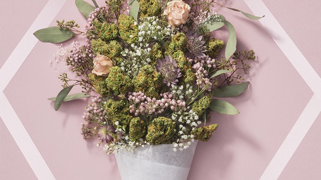 Un bouquet de fleurs de cannabis.