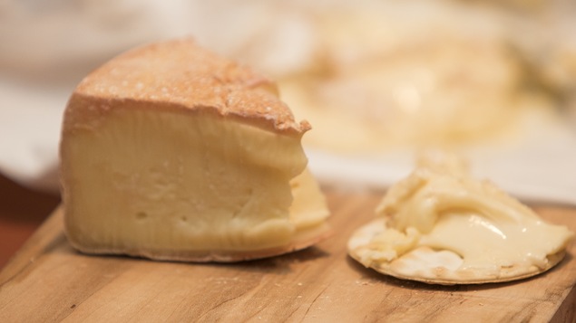 Gros plan sur quelques fromages sélectionnés par la critique gastronomique Lesley Chesterman.