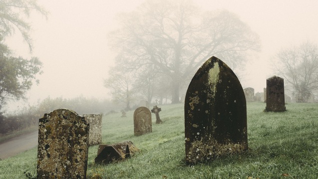 Dans un vieux cimetière, des pierres tombales semblent usées par le temps.