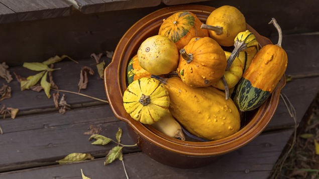 Un panier rempli de courges.