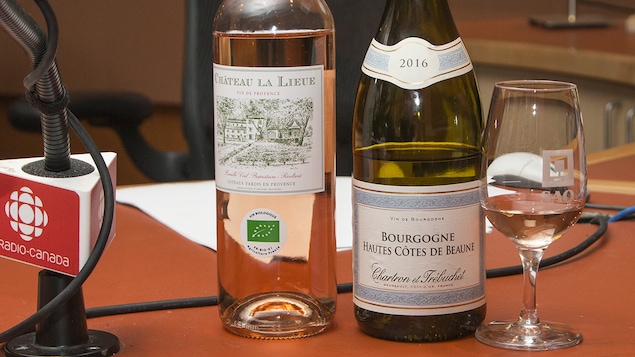Gros plan sur les bouteilles sélectionnées par Élyse Lambert.