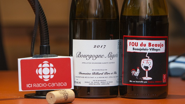 Gros plan sur les bouteilles sélectionnées par la Master Sommelier Élyse Lambert.