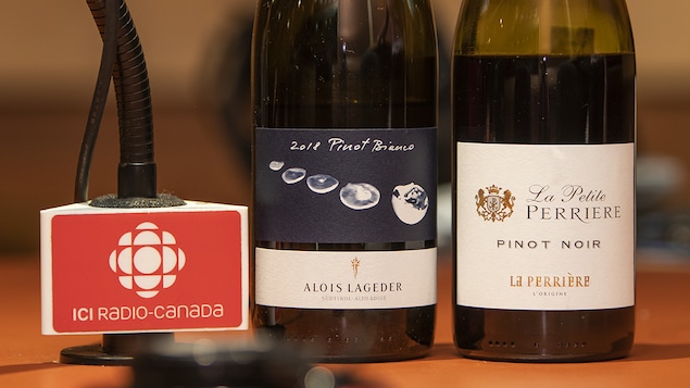Gros plan sur les sélections de la Master Sommelier Élyse Lambert.