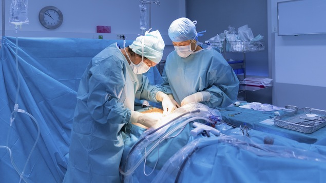 Deux médecins font une chirurgie dans une salle d'opération.