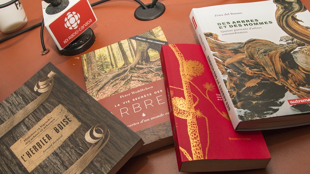 Les livres présentés par Pierre Gingras étalés sur une table