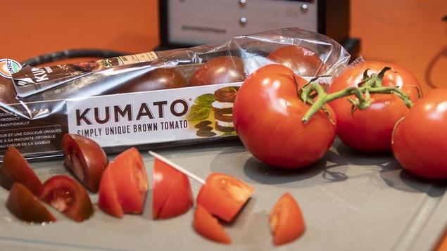 Sélection de tomates apportées par le journaliste Pierre Gingras.