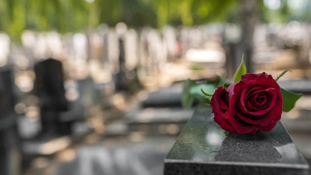 Une rose rouge posée sur une pierre tombale dans un cimetière.