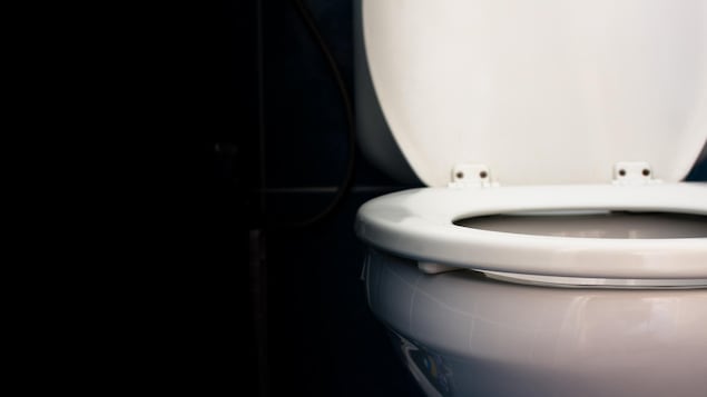 La cuvette d'une toilette est levée.